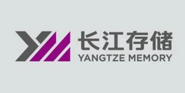 中國(guó)三大存儲(chǔ)芯片公司