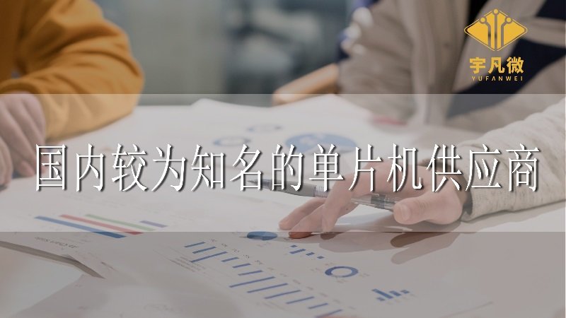 國內(nèi)較為知名的單片機(jī)供應(yīng)商有哪些